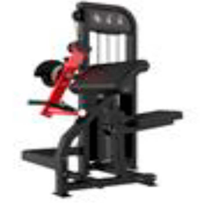 Biceps & Triceps Machine BEST